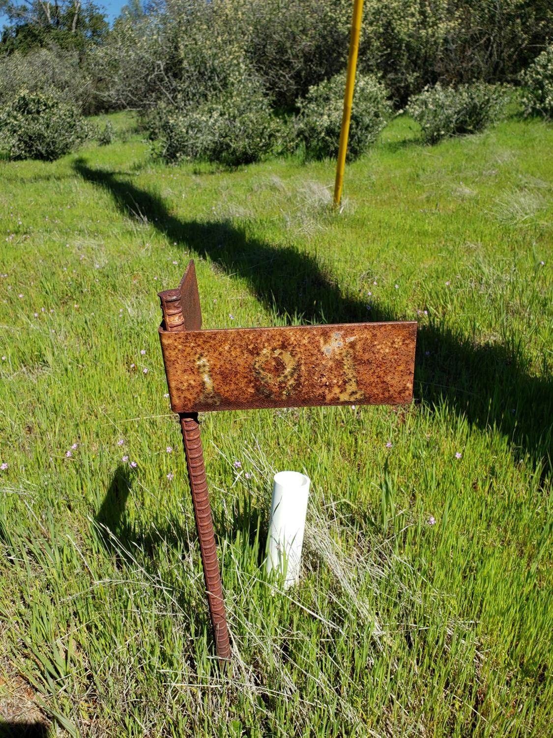 10427 Viloletta Way - Photo 1