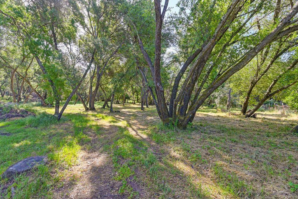 0 Tracy Lane - Photo 1