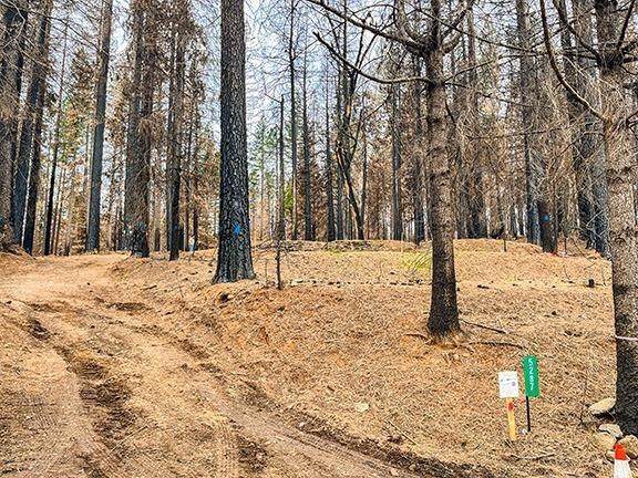 5287 Golden Aspen - Photo 1