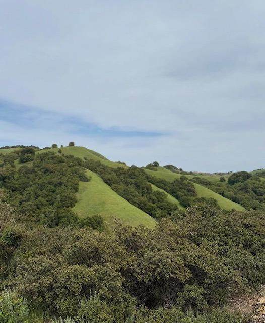 0 San Felipe Road - Photo 1