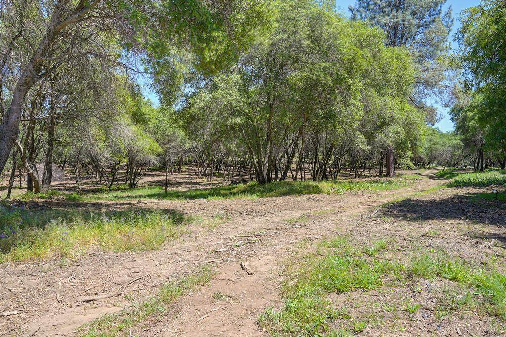 10650 Werner Road - Photo 1