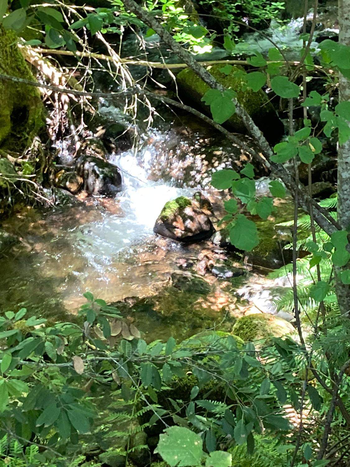 0 Baker Road - Photo 1