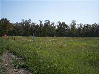 13664 Montfort Avenue - Photo 1