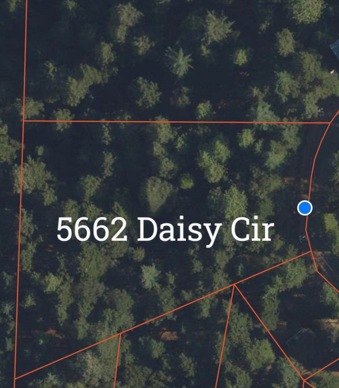 5662 Daisy Circle - Photo 1