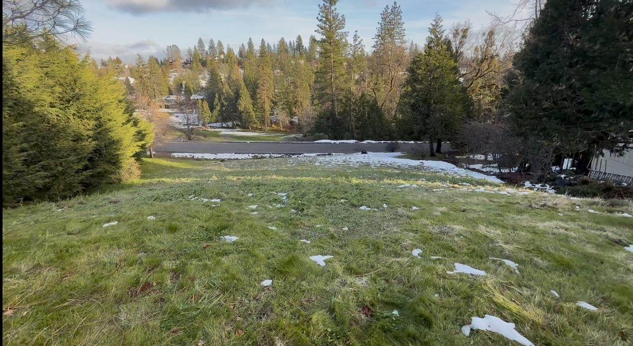 501 Forest Meadows Drive - Photo 1