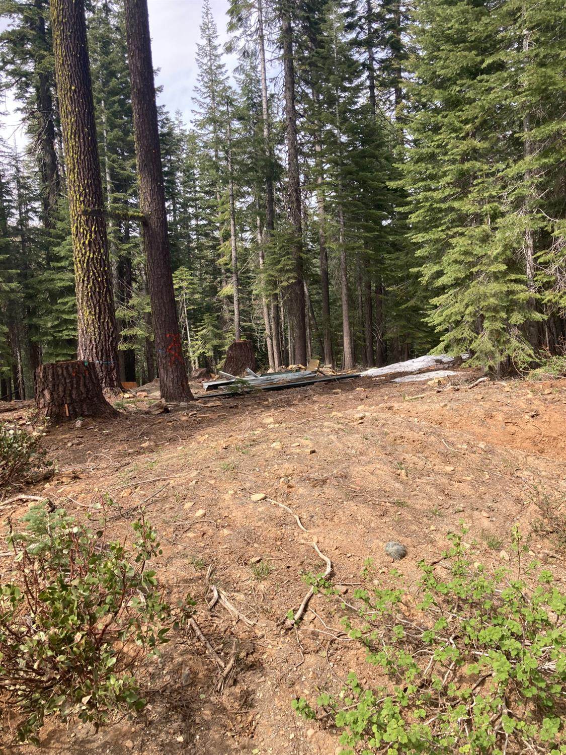 8896 Big Creek Road - Photo 1