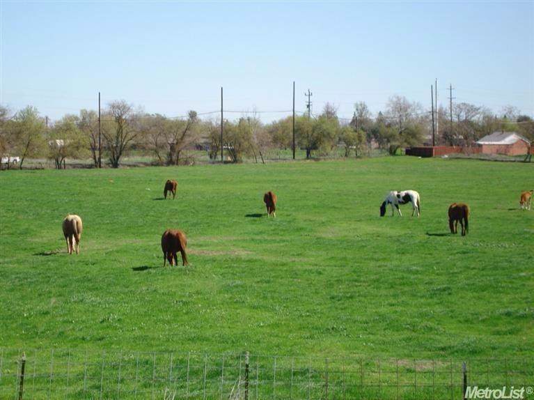 653 Claire Avenue - Photo 1