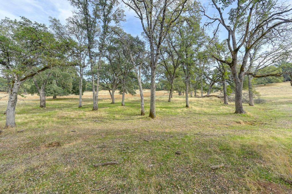 2 Shinn Ranch Road - Photo 1