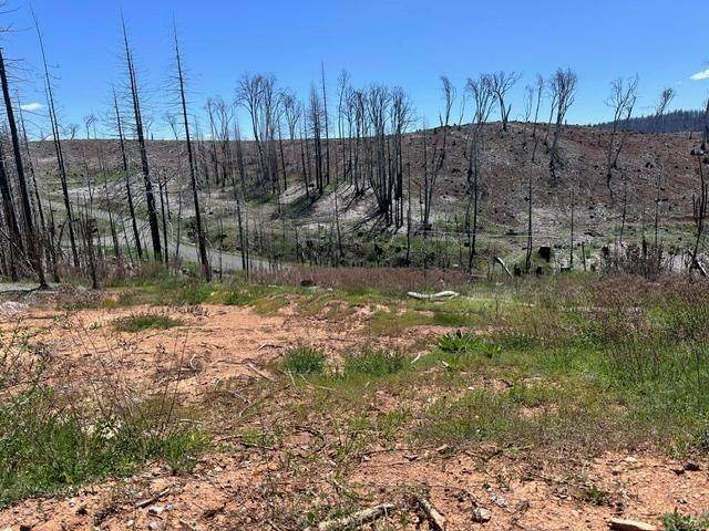 4963 Deertrack Court - Photo 1