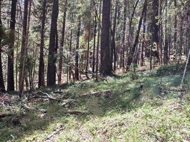 10 Buffalo Hill Road - Photo 1