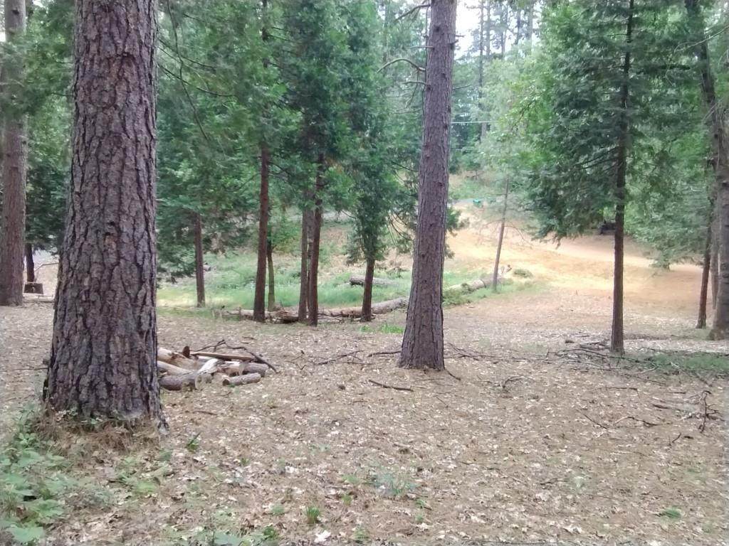 14629 Rollins Park Drive - Photo 1