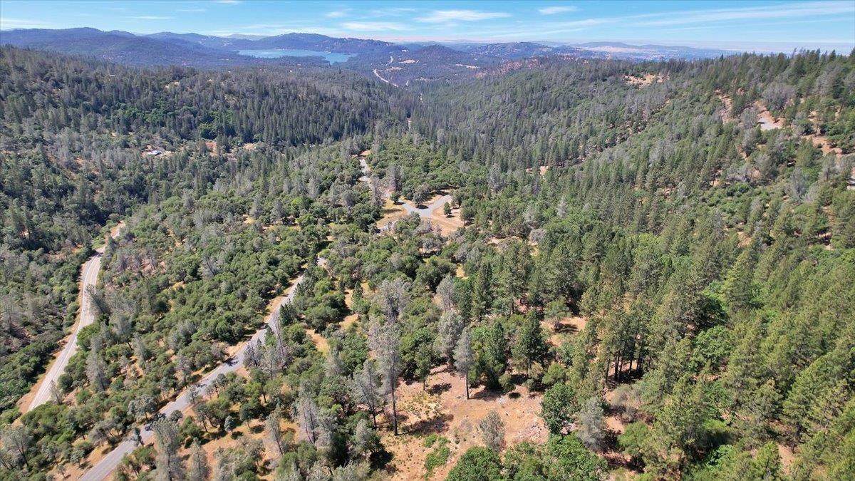 14818 Willow Glen Road - Photo 1