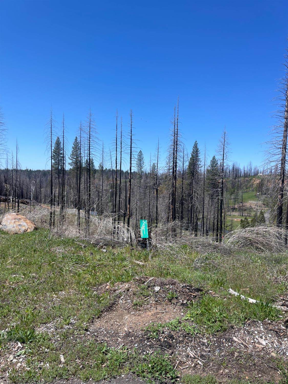 5011 Storybook Court - Photo 1