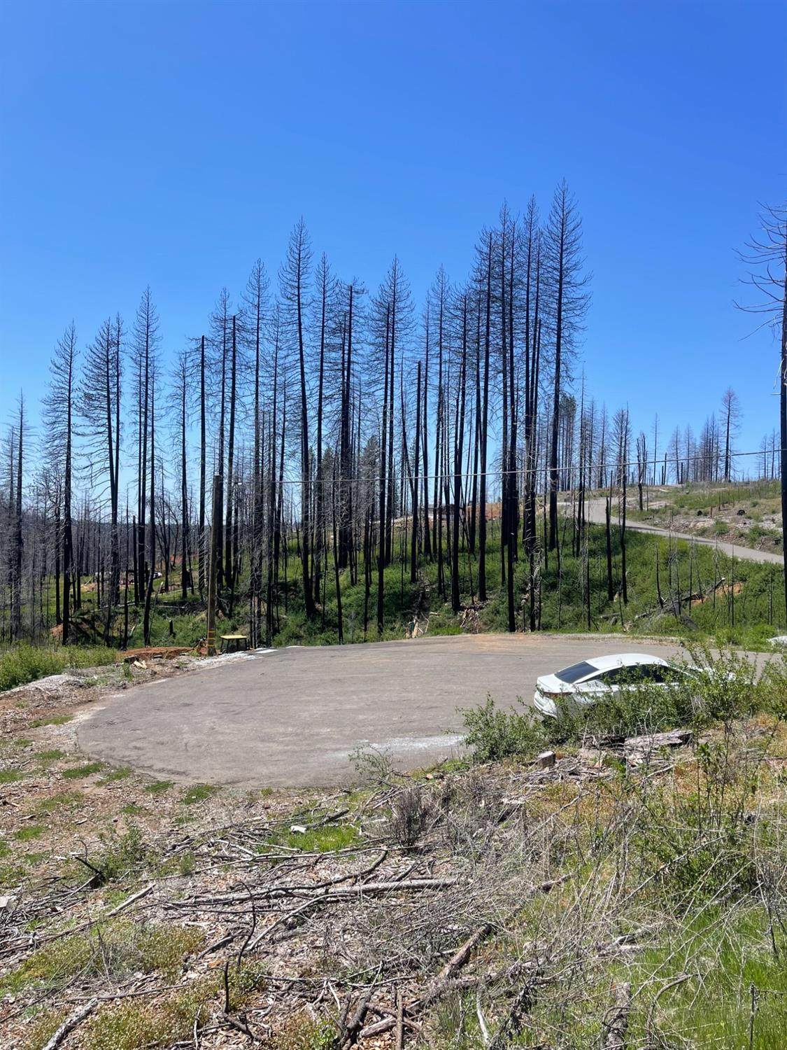 4905 Deerwood Court - Photo 1