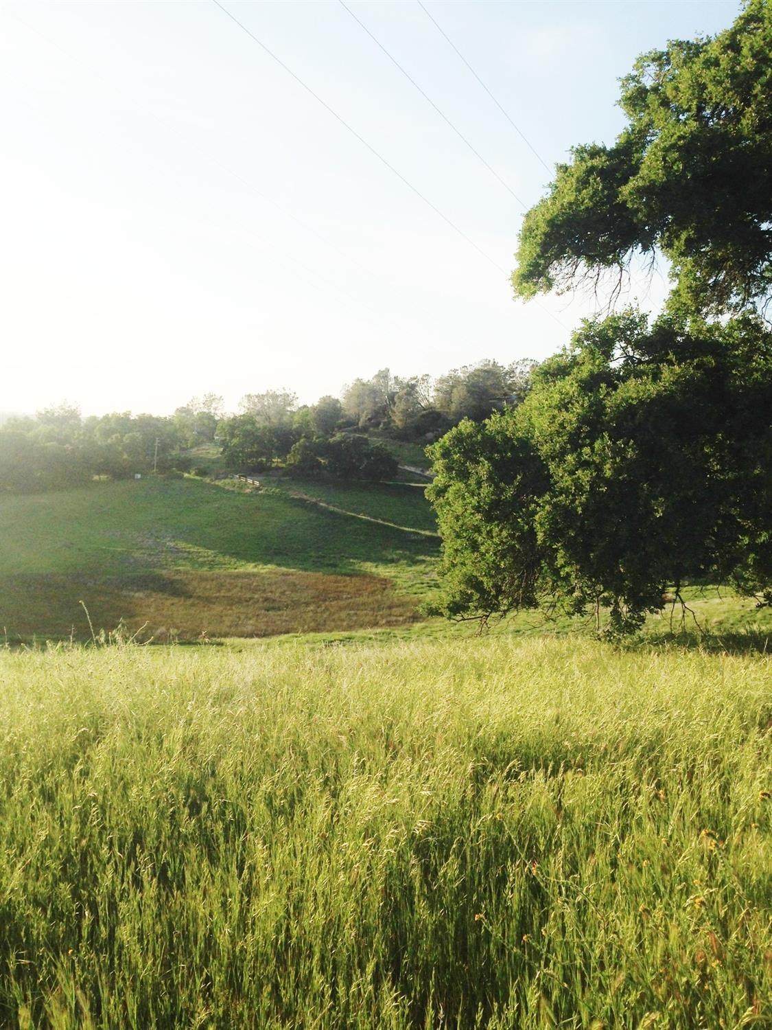 0 State Hwy 124 - Photo 1