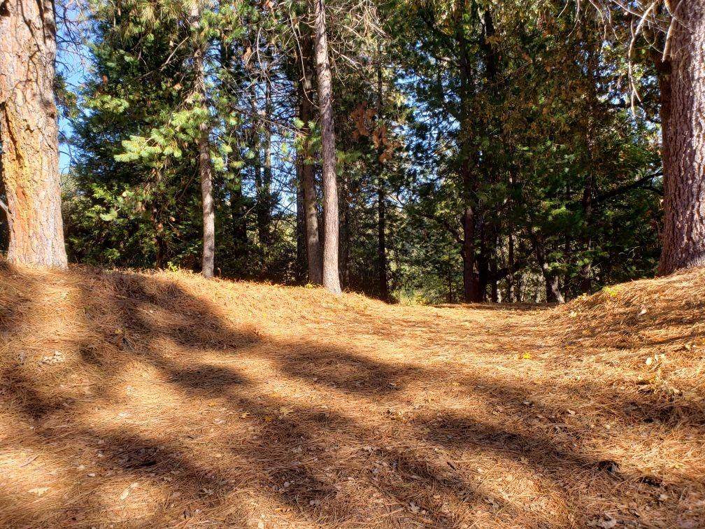 1812 Sandalwood Dr - Photo 1