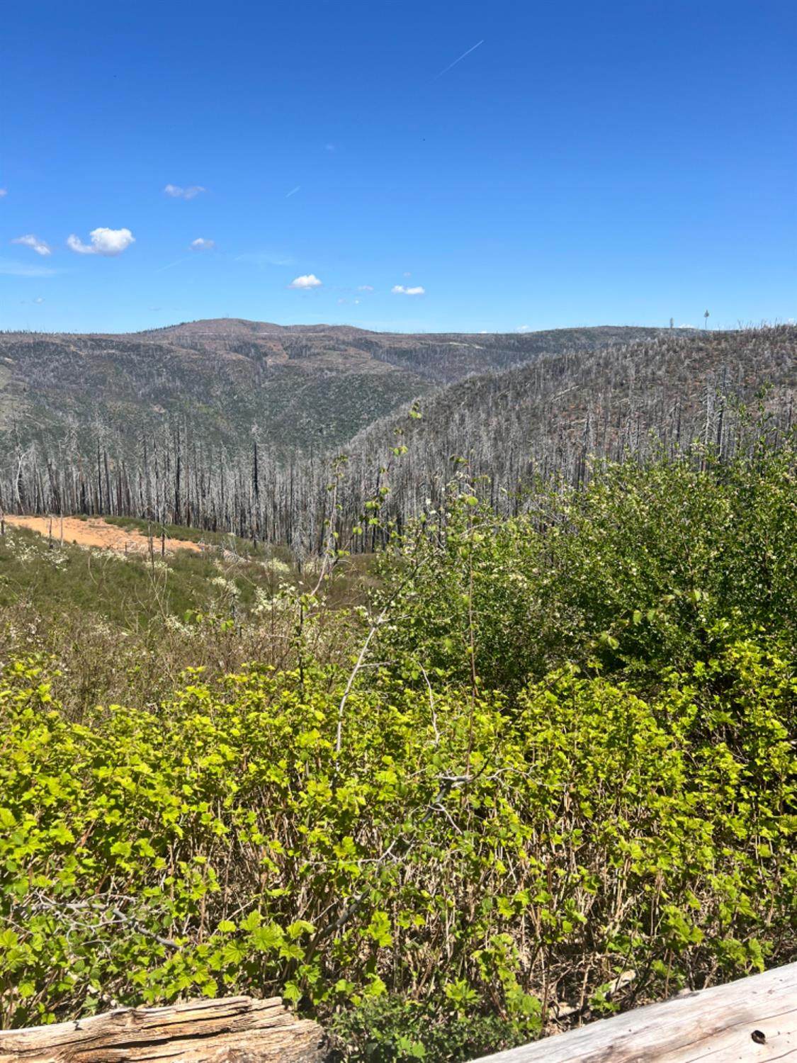 40 Wentworth Springs - Photo 1