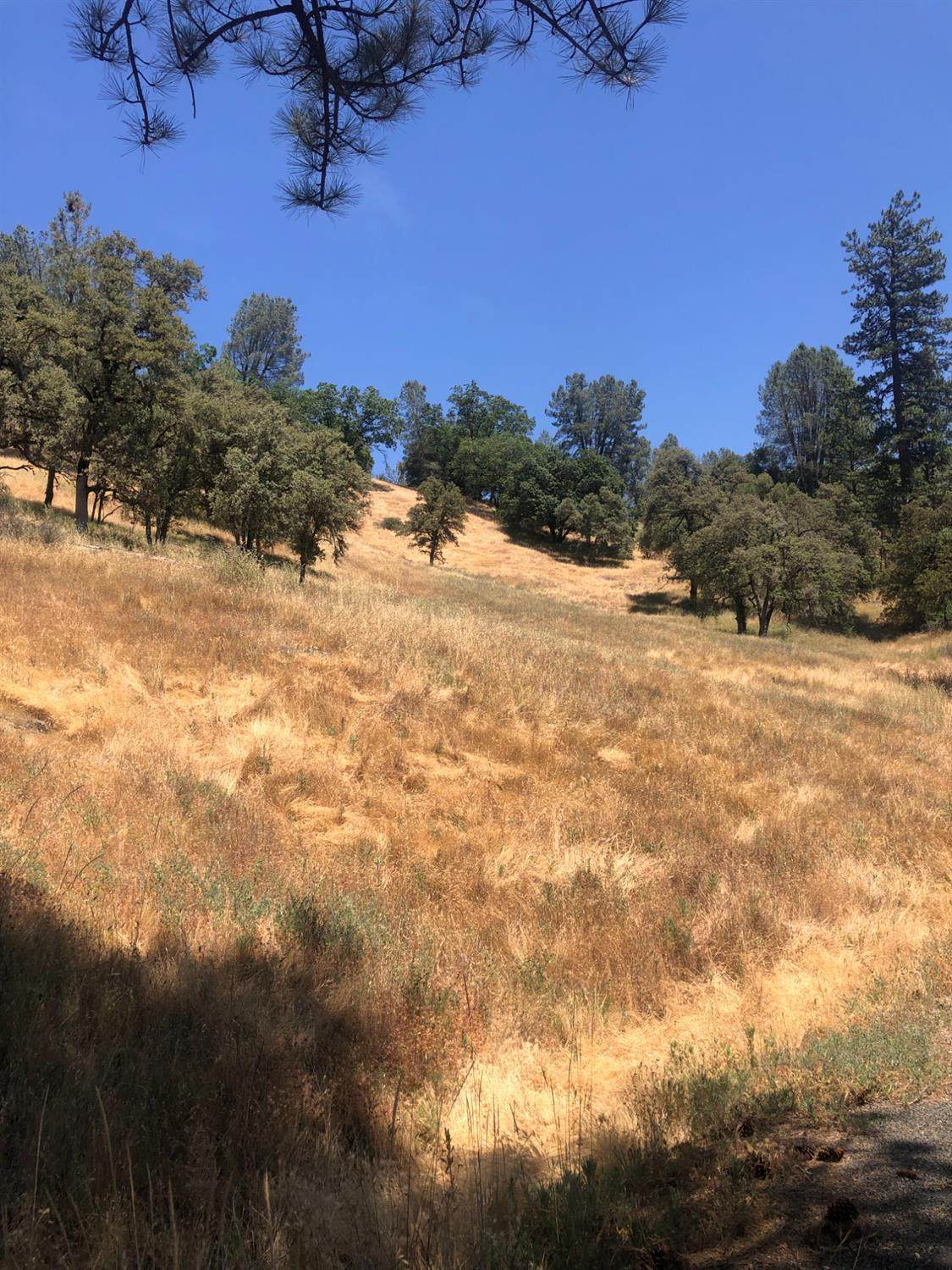 https://bt-photos.global.ssl.fastly.net/sacramento/1280_boomver_1_560879282-2.jpg