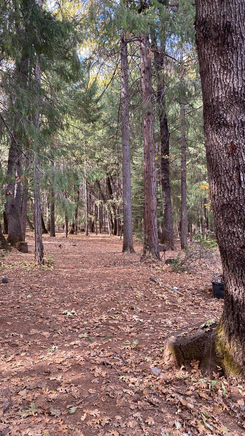 16425 Jones Ridge Road - Photo 1