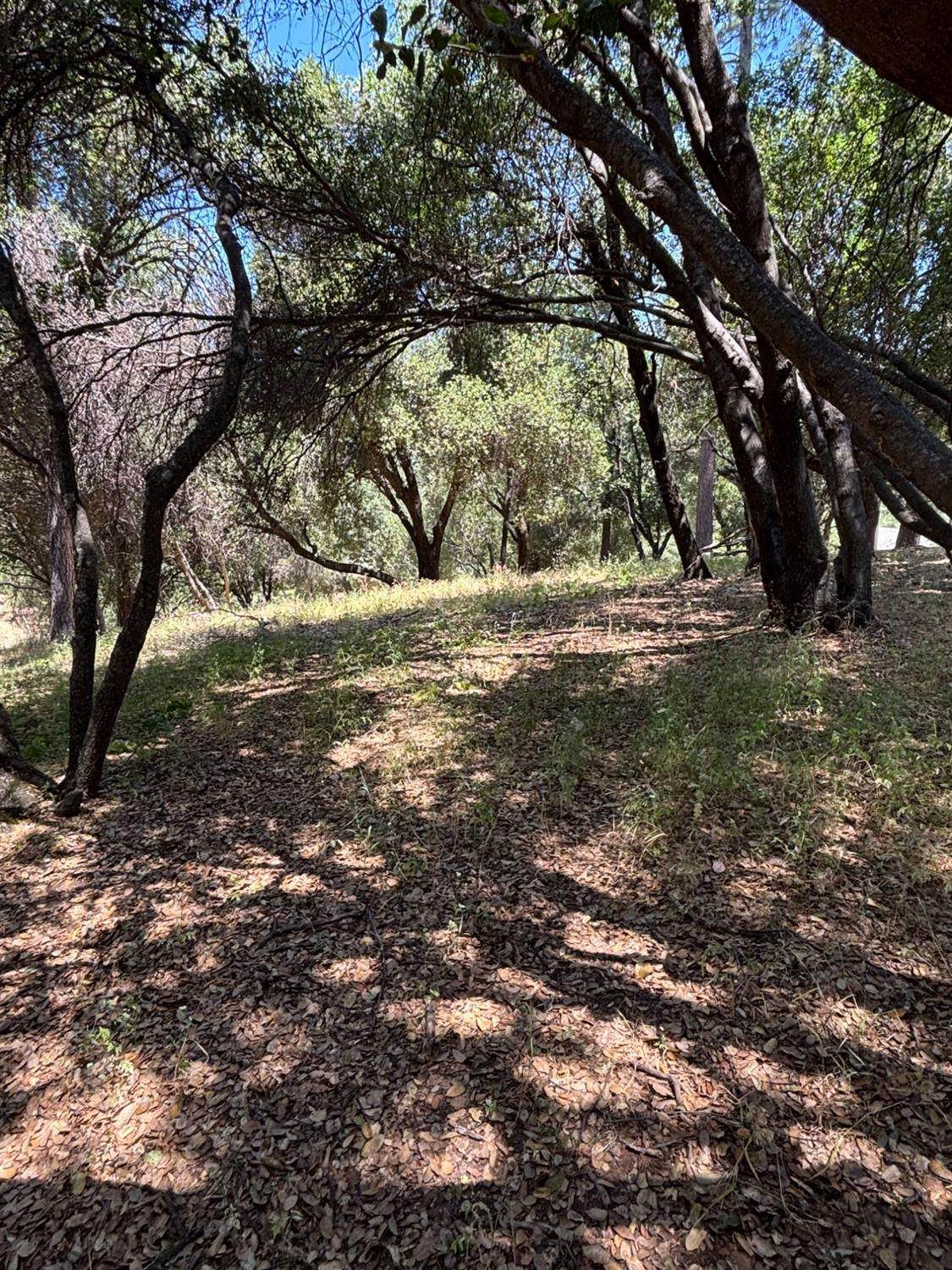 20524 Nob Hill - Photo 1