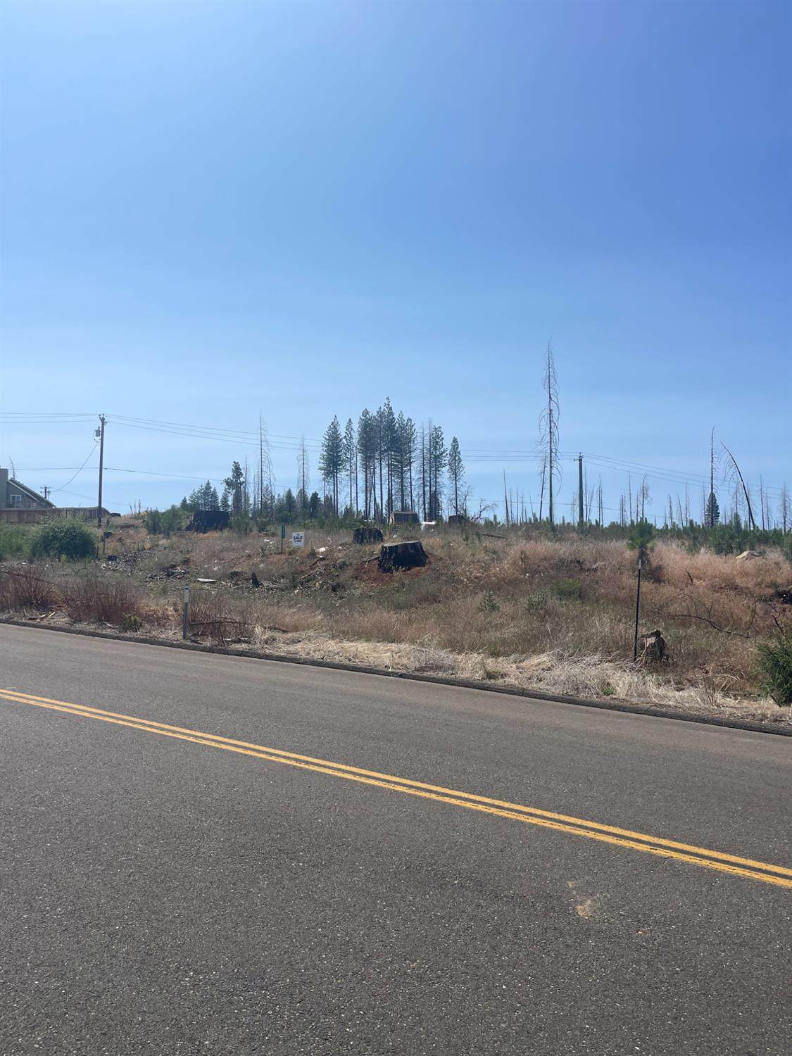 10141 Grizzly Flat Road - Photo 1