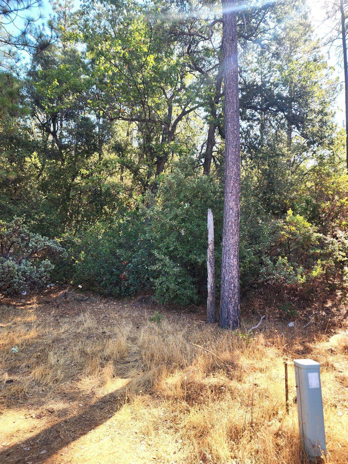 https://bt-photos.global.ssl.fastly.net/sacramento/orig_boomver_1_560887750-2.jpg