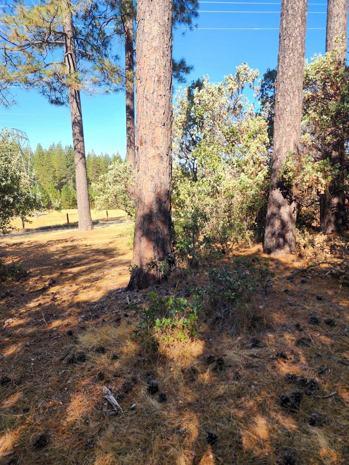 https://bt-photos.global.ssl.fastly.net/sacramento/orig_boomver_1_560887750-2.jpg