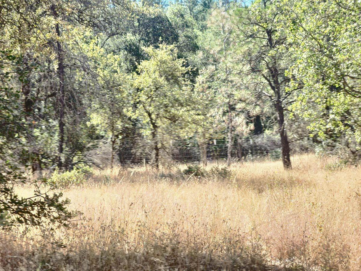 https://bt-photos.global.ssl.fastly.net/sacramento/orig_boomver_1_560896055-2.jpg