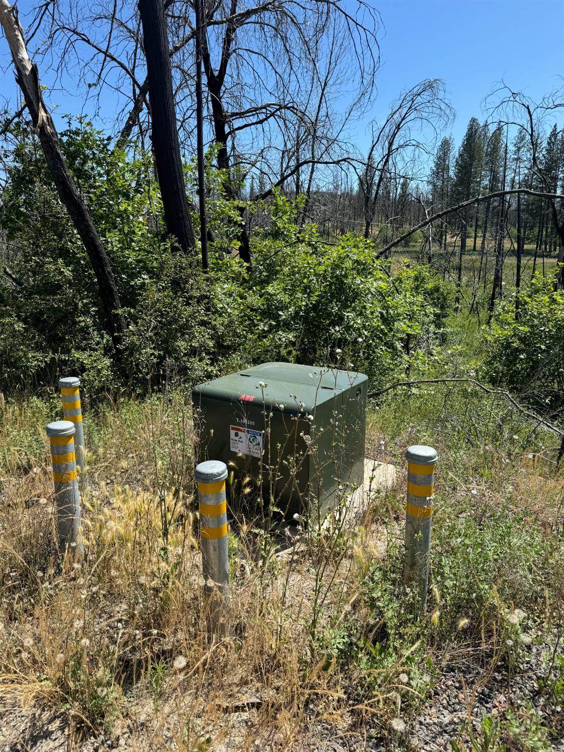 https://bt-photos.global.ssl.fastly.net/sacramento/1280_boomver_2_560896704-2.jpg