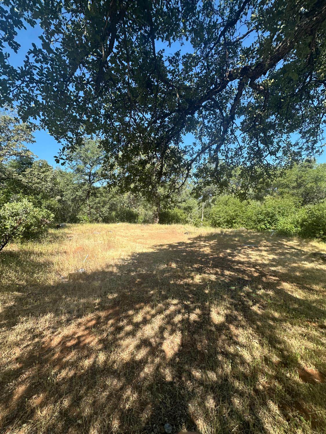 17232 Golden Arrow Trail - Photo 1