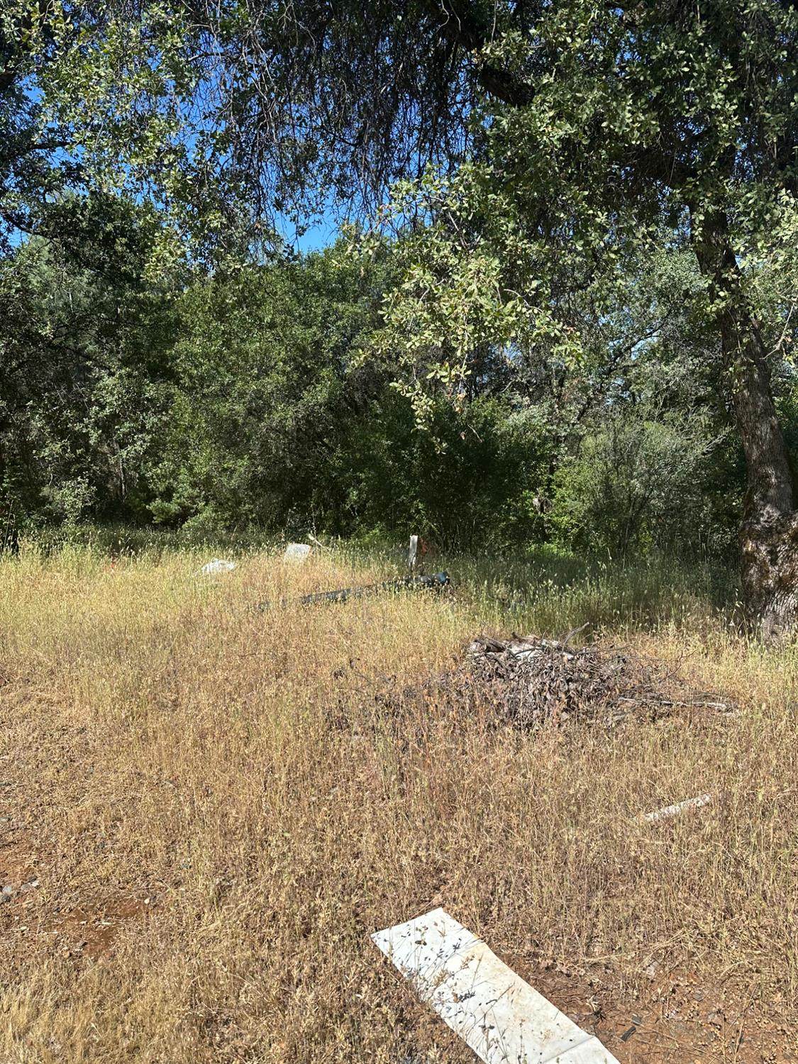 https://bt-photos.global.ssl.fastly.net/sacramento/orig_boomver_1_560898229-2.jpg