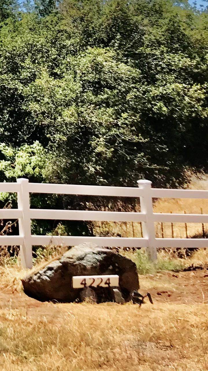 4224 Beasley Drive - Photo 1