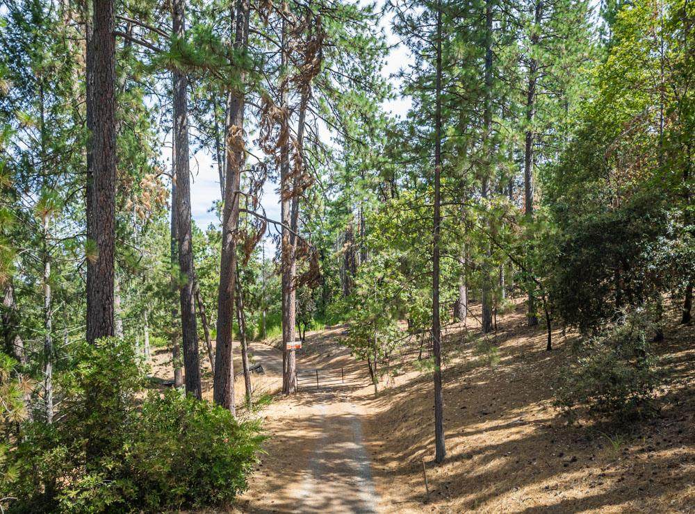 https://bt-photos.global.ssl.fastly.net/sacramento/1280_boomver_1_560903932-2.jpg