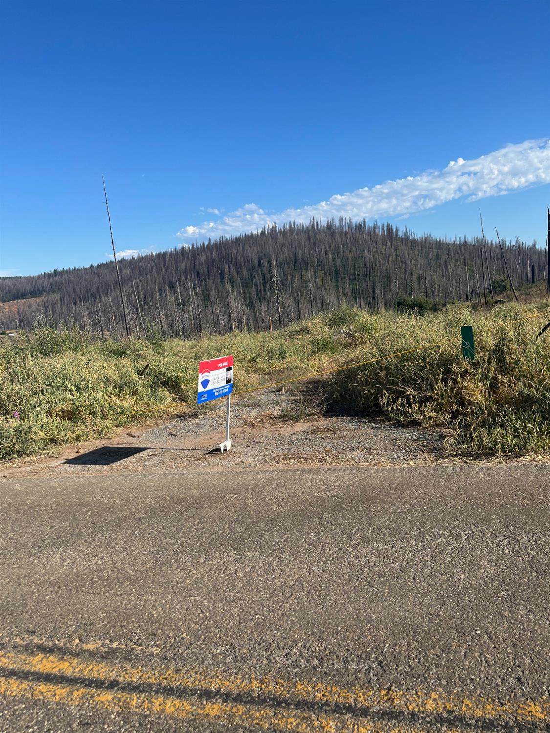 0 Grizzly Flat Road - Photo 1