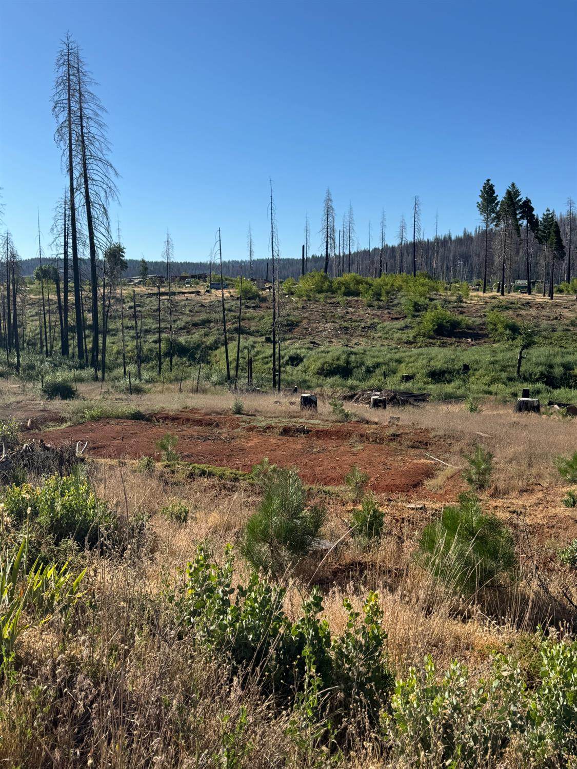 4491 String Canyon Road - Photo 1