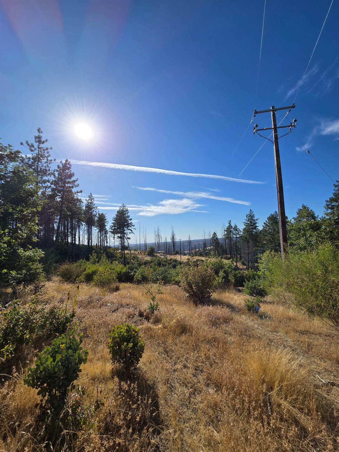 https://bt-photos.global.ssl.fastly.net/sacramento/1280_boomver_1_560907854-2.jpg