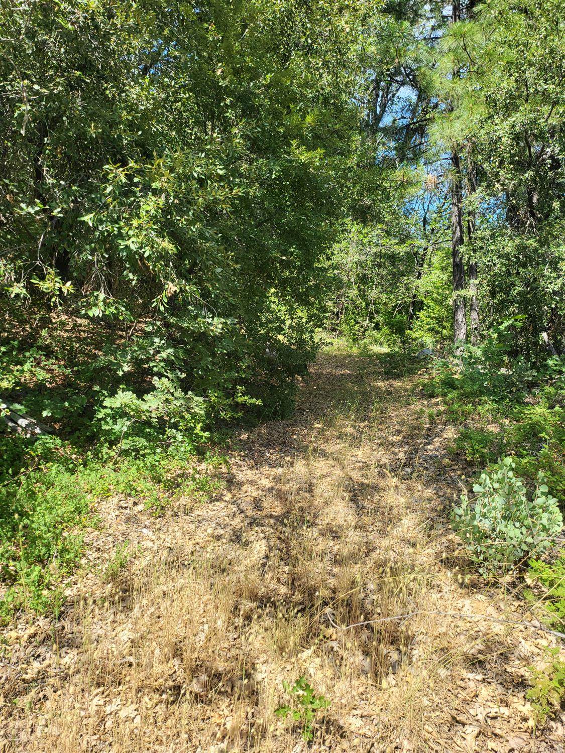 https://bt-photos.global.ssl.fastly.net/sacramento/orig_boomver_1_560909635-2.jpg