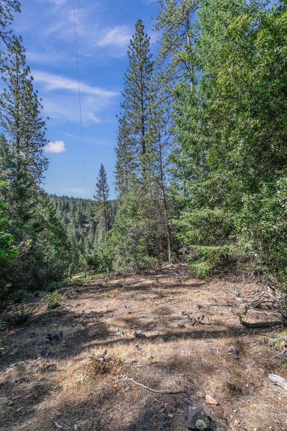 https://bt-photos.global.ssl.fastly.net/sacramento/orig_boomver_1_560910524-2.jpg