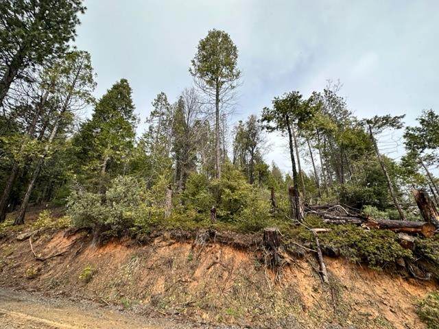 19950 Mountain Misery Road - Photo 1