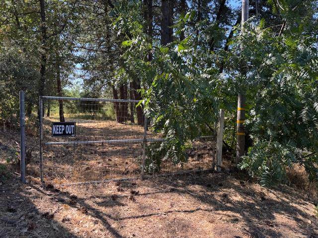 0 Bitney Springs Road - Photo 1