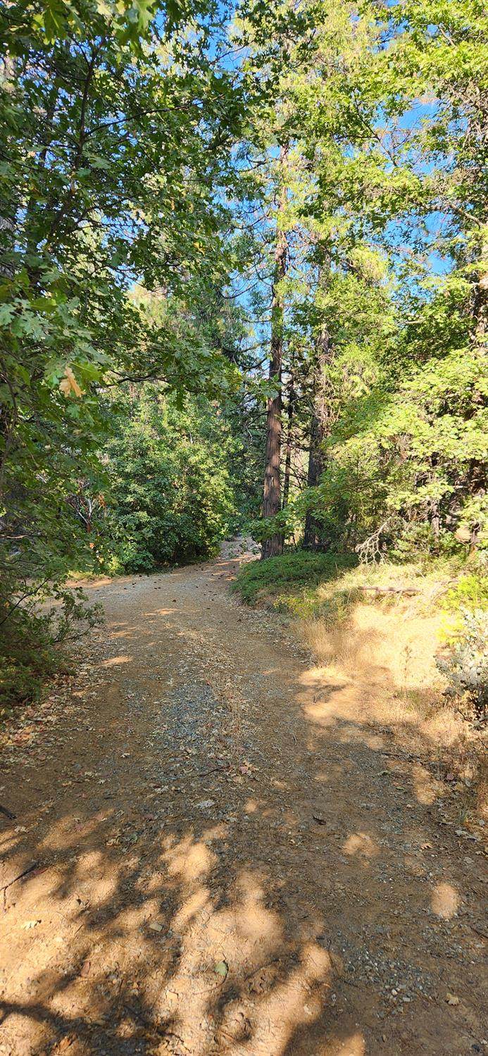 https://bt-photos.global.ssl.fastly.net/sacramento/1280_boomver_1_560918378-2.jpg