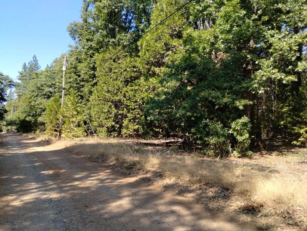 13762 Lightning Tree Road - Photo 1