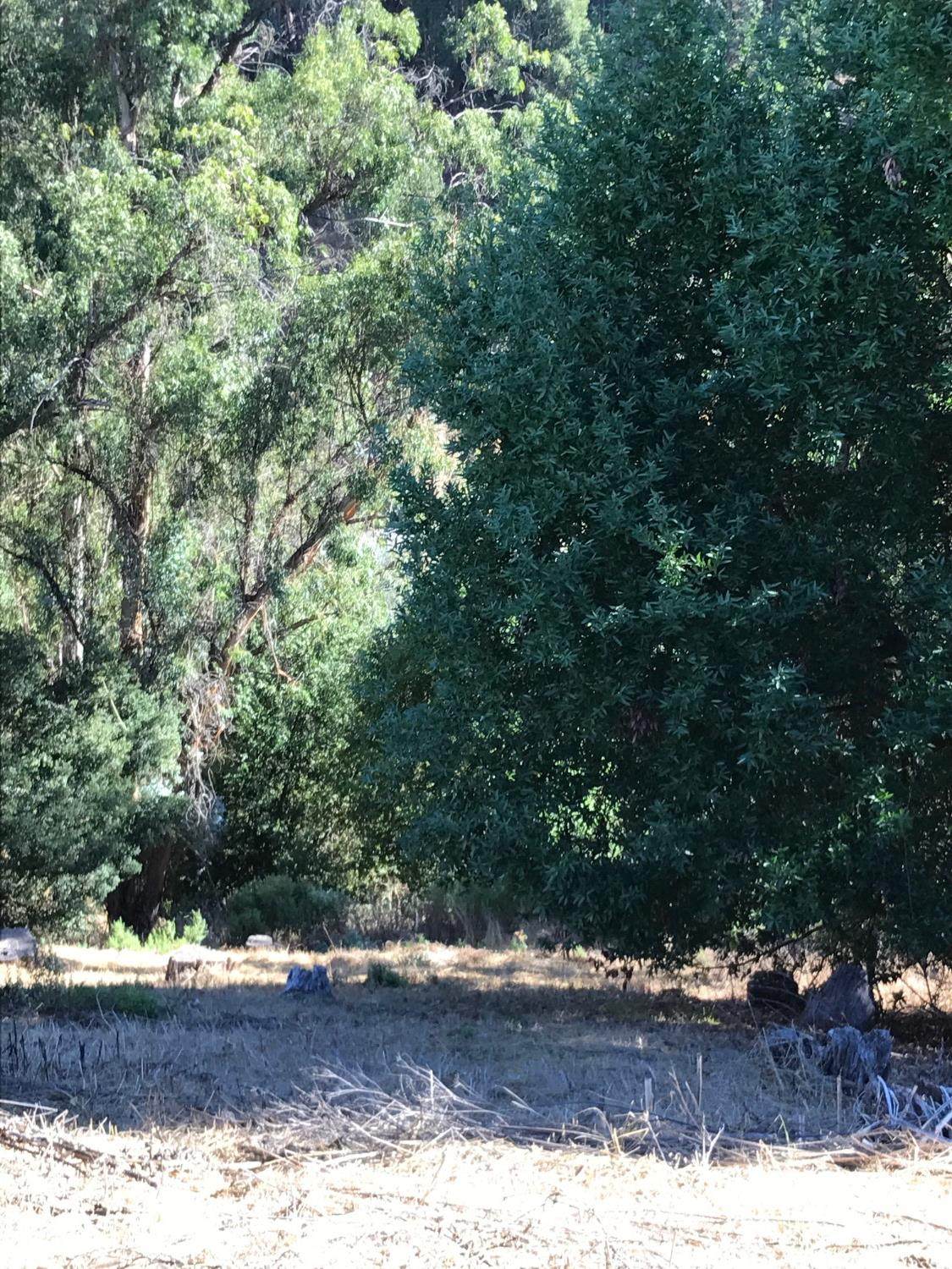 0 Lauriston Court - Photo 1