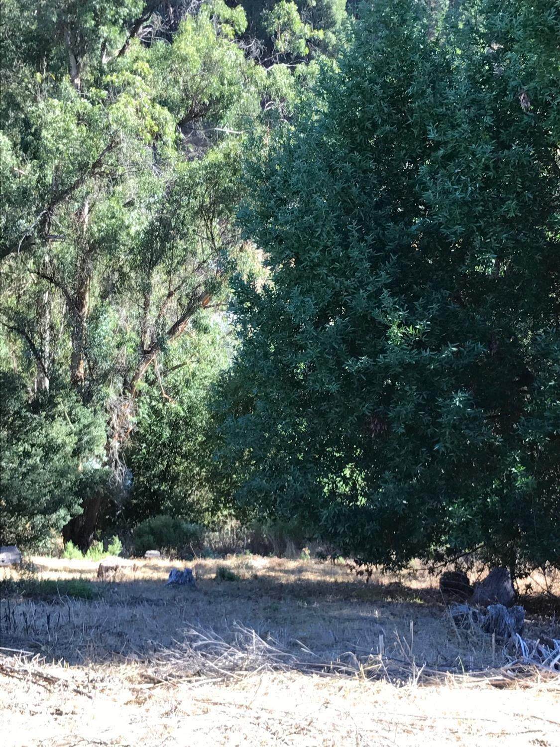 0 Lauriston Court - Photo 1