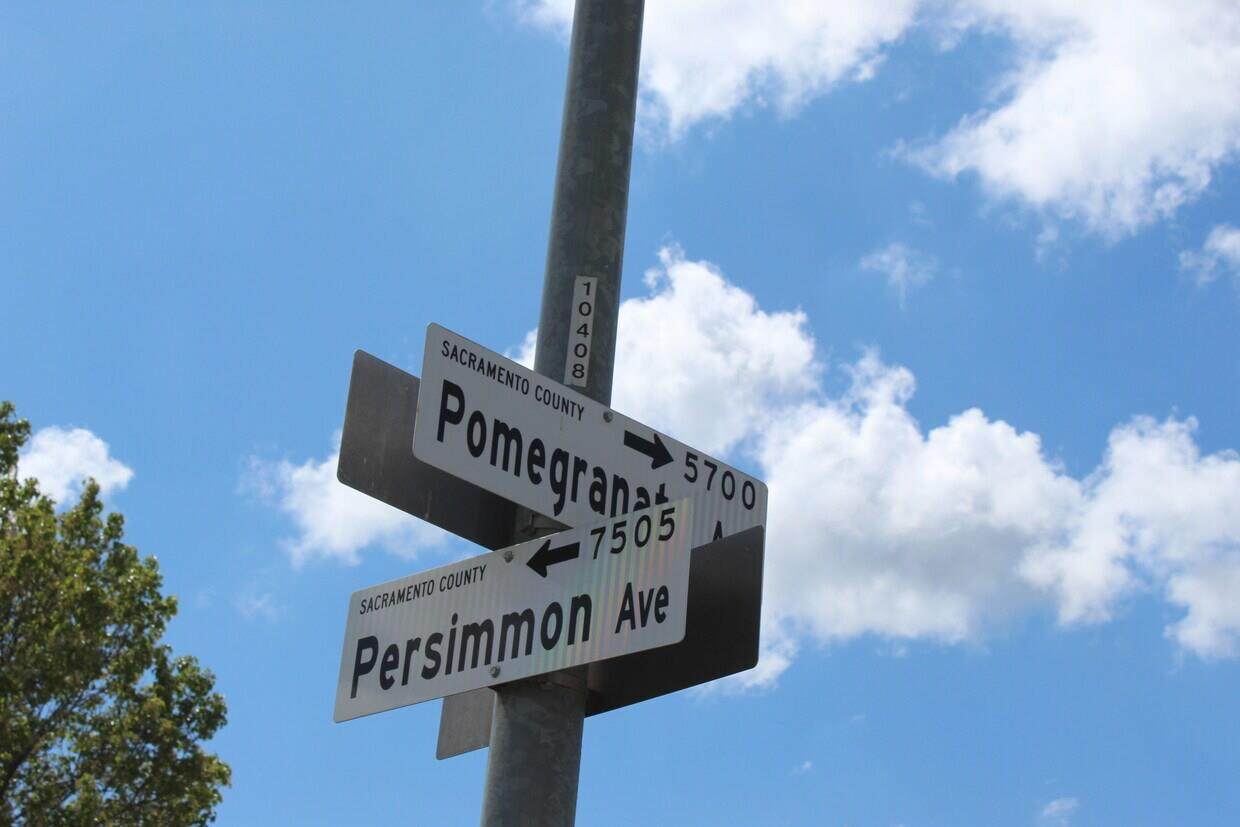 7509 Persimmon - Photo 1