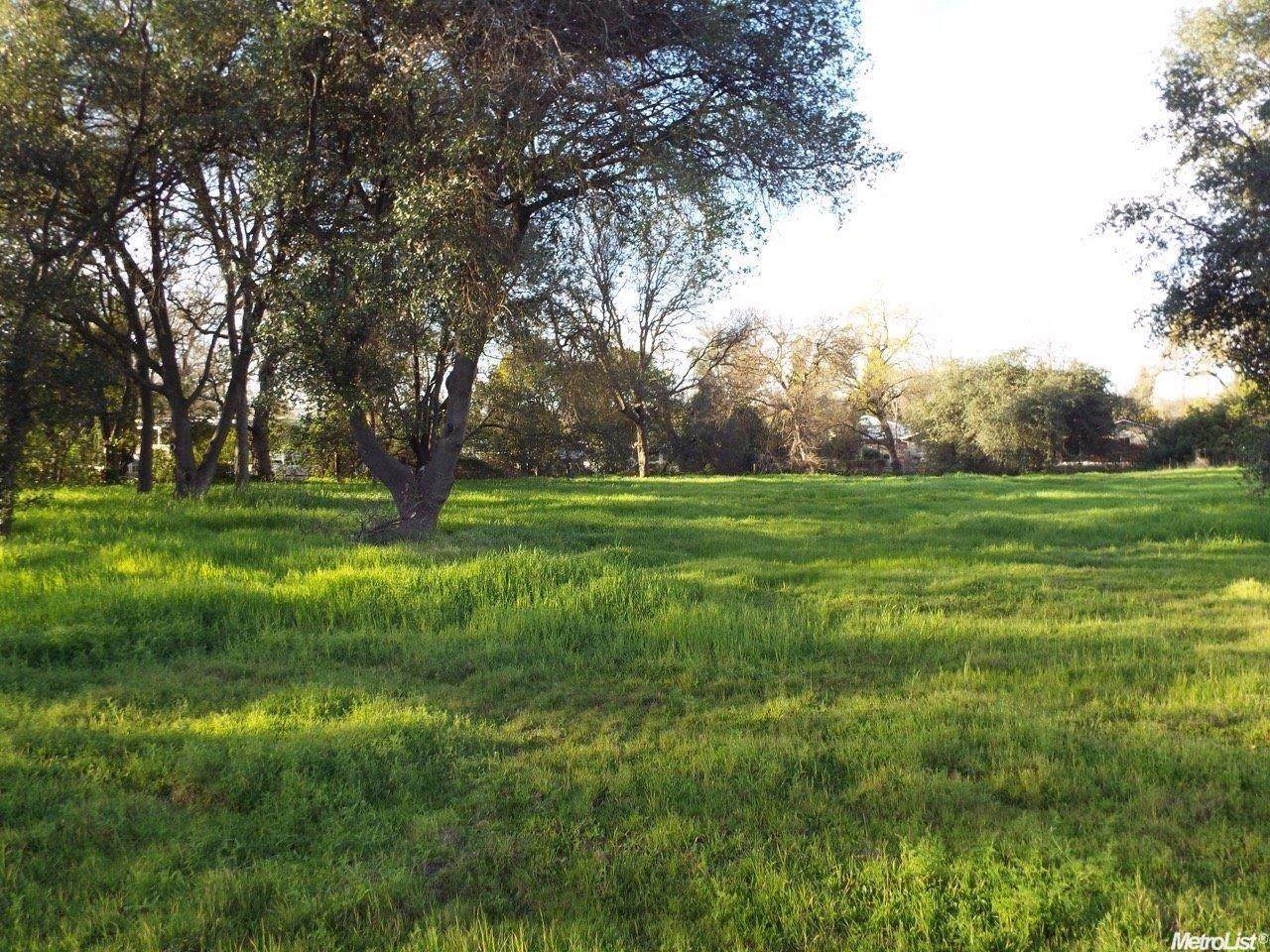 0 Muth Lane - Photo 1