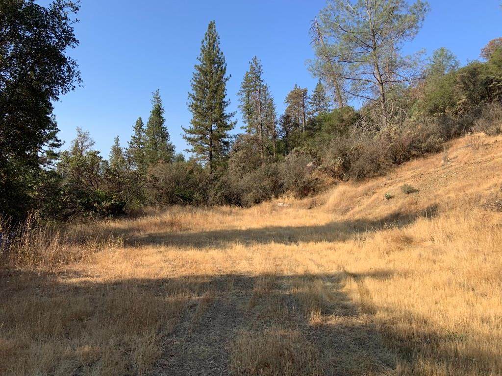 https://bt-photos.global.ssl.fastly.net/sacramento/orig_boomver_1_560939552-2.jpg