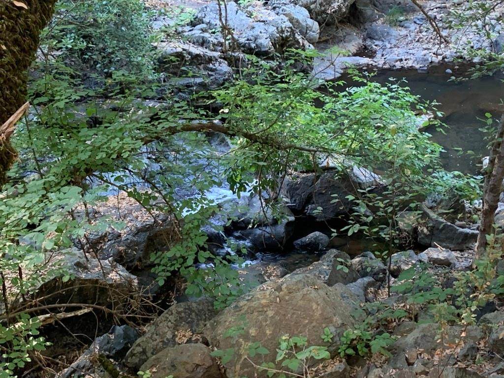 https://bt-photos.global.ssl.fastly.net/sacramento/orig_boomver_1_560939552-2.jpg