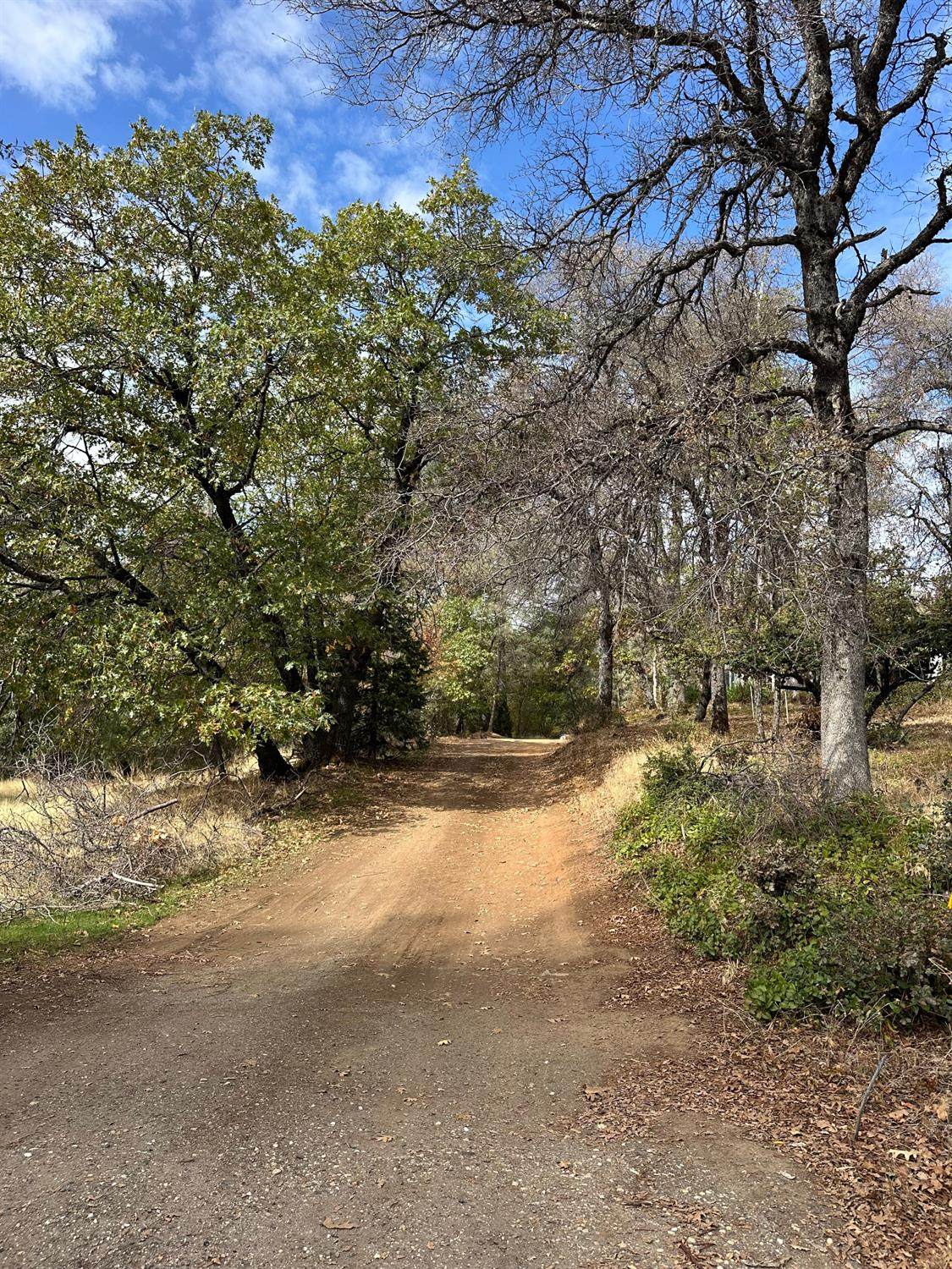 2300 Nevada City Highway - Photo 1