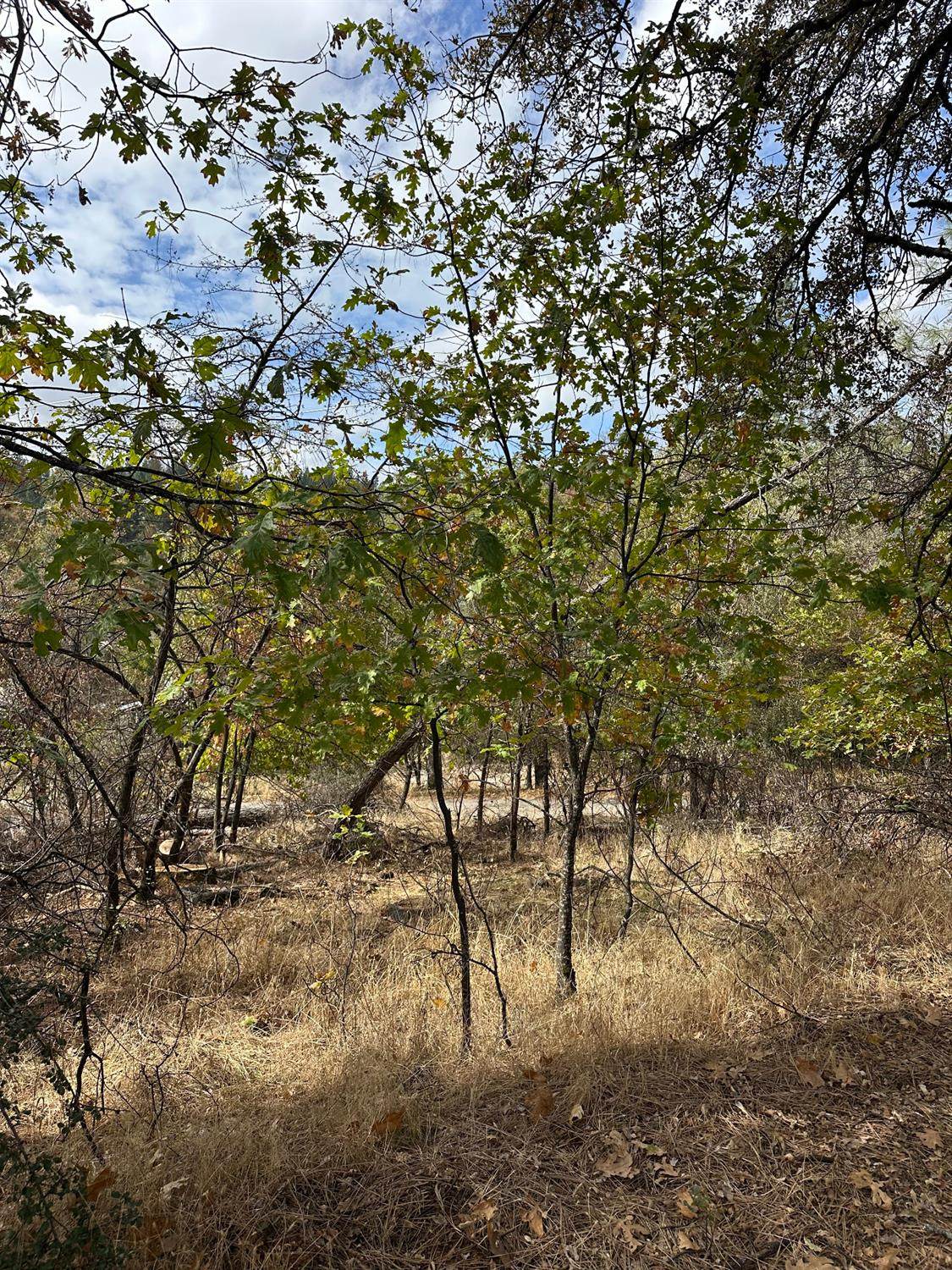 https://bt-photos.global.ssl.fastly.net/sacramento/1280_boomver_1_560940075-2.jpg